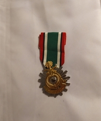 Medaile ,,Liberation Of Kuvait" 
